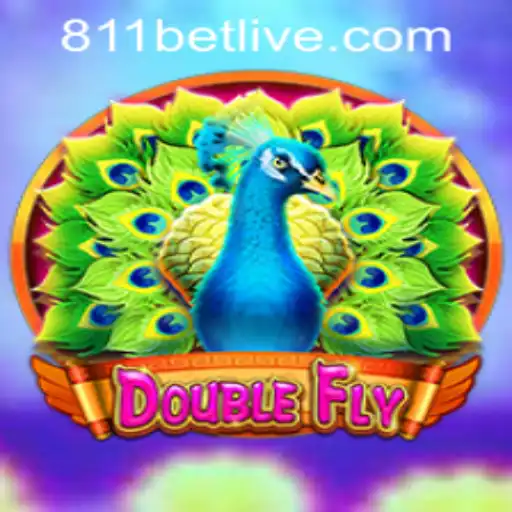 Exploring DoubleFly: The Thrilling Gaming Experience and Everything You Need to Know